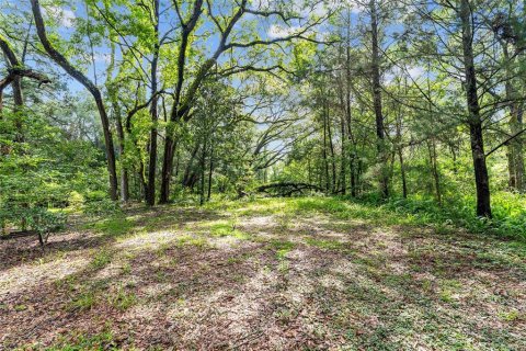 Land in Gainesville, Florida № 1832222 - photo 25