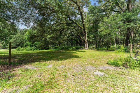 Land in Gainesville, Florida № 1832222 - photo 9