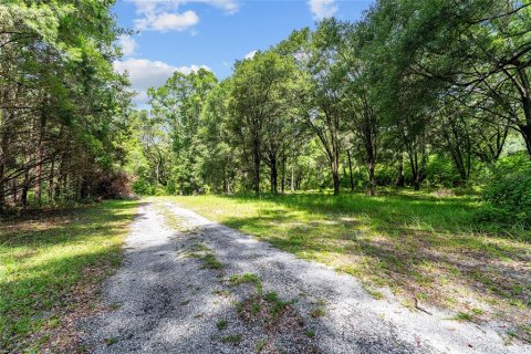 Land in Gainesville, Florida № 1832222 - photo 20