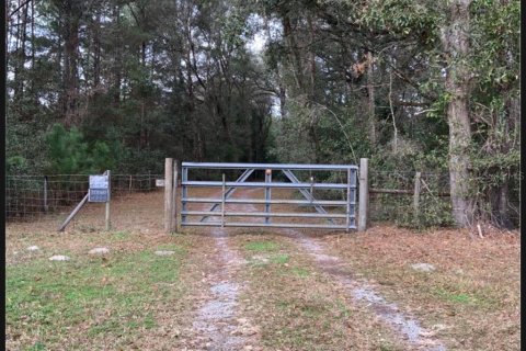 Land in Gainesville, Florida № 1832222 - photo 2