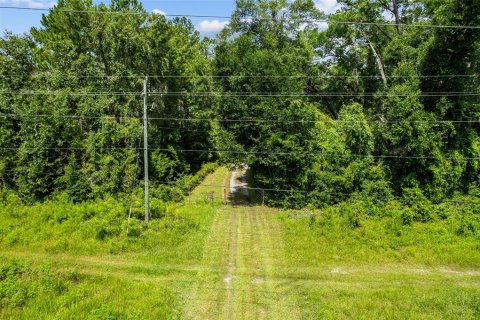 Land in Gainesville, Florida № 1832222 - photo 4
