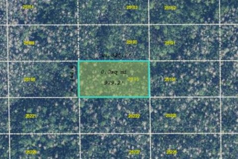 Land in Orlando, Florida № 2163934 - photo 3