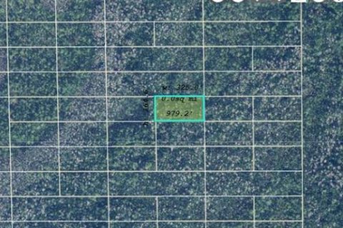 Land in Orlando, Florida № 2163934 - photo 2