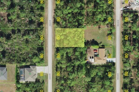 Land in Port Charlotte, Florida № 2359104