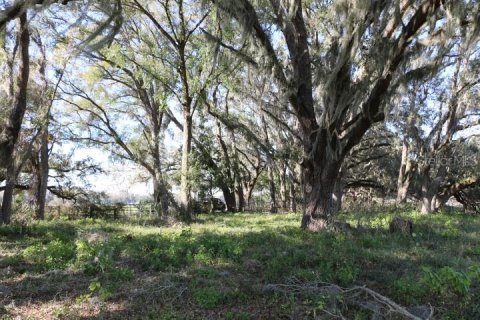 Land in Bushnell, Florida № 1553715 - photo 5