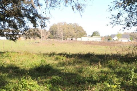 Land in Bushnell, Florida № 1553715 - photo 4
