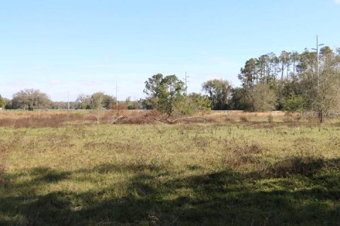Land in Bushnell, Florida № 1553715 - photo 6