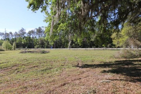 Land in Bushnell, Florida № 1553715 - photo 29