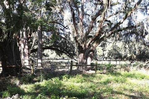 Land in Bushnell, Florida № 1553715 - photo 16