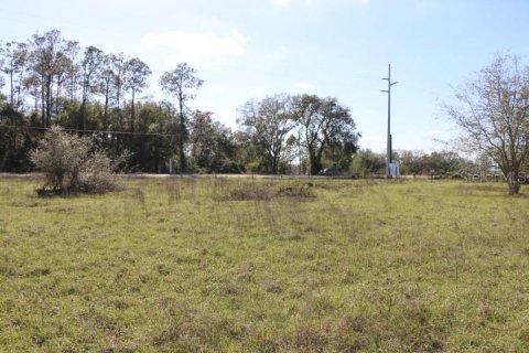 Land in Bushnell, Florida № 1553715 - photo 11