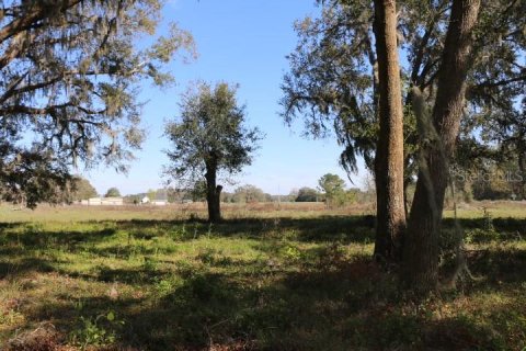 Land in Bushnell, Florida № 1553715 - photo 17