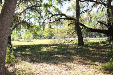 Land in Bushnell, Florida № 1553715 - photo 27
