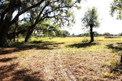 Land in Bushnell, Florida № 1553715 - photo 22