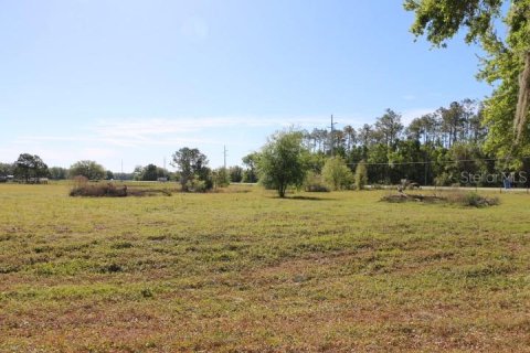 Land in Bushnell, Florida № 1553715 - photo 30
