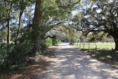 Land in Bushnell, Florida № 1553715 - photo 2