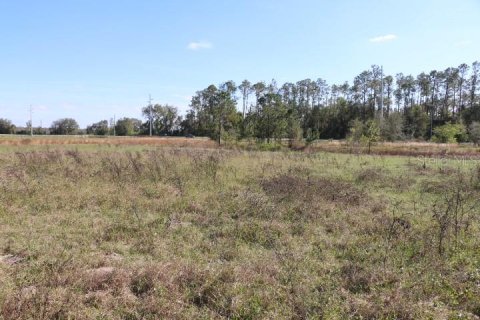 Land in Bushnell, Florida № 1553715 - photo 7