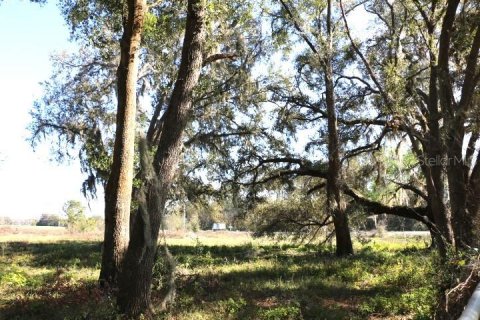 Land in Bushnell, Florida № 1553715 - photo 15