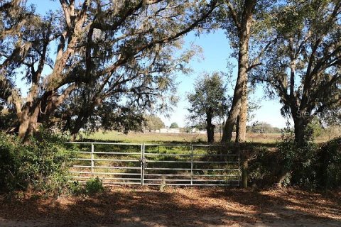 Land in Bushnell, Florida № 1553715 - photo 1