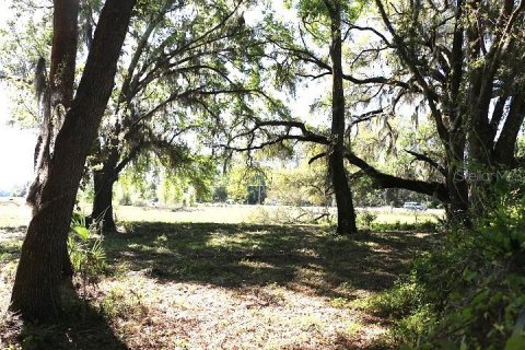 Land in Bushnell, Florida № 1553715 - photo 25