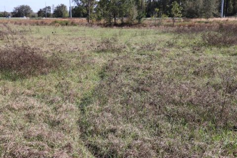 Land in Bushnell, Florida № 1553715 - photo 8