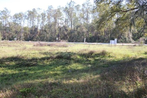 Land in Bushnell, Florida № 1553715 - photo 10