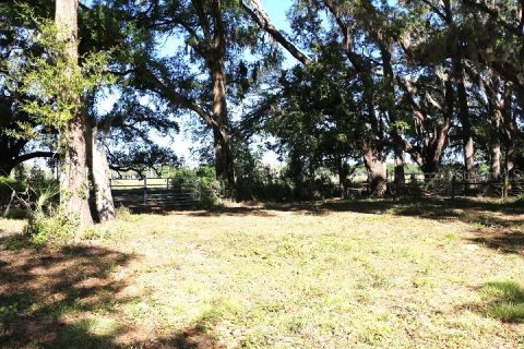 Land in Bushnell, Florida № 1553715 - photo 28