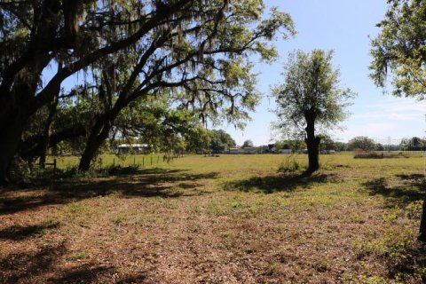 Land in Bushnell, Florida № 1553715 - photo 24