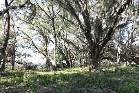 Land in Bushnell, Florida № 1553715 - photo 20