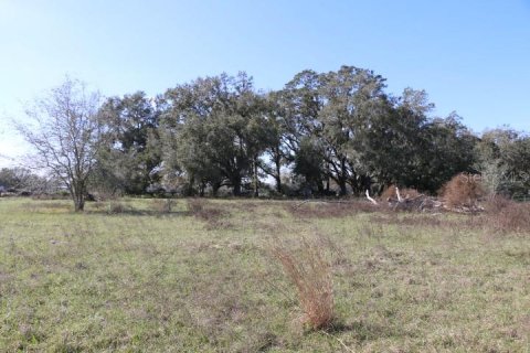 Land in Bushnell, Florida № 1553715 - photo 19