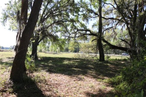 Land in Bushnell, Florida № 1553715 - photo 26