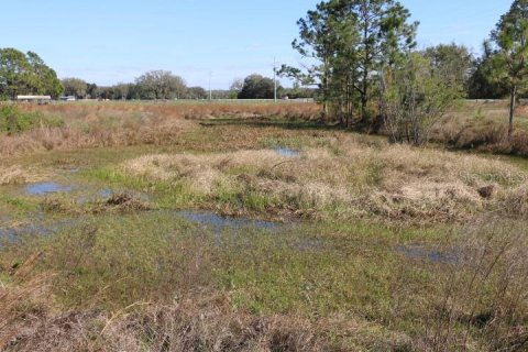 Land in Bushnell, Florida № 1553715 - photo 12