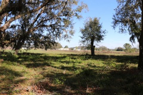 Land in Bushnell, Florida № 1553715 - photo 14