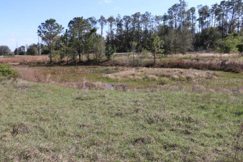 Land in Bushnell, Florida № 1553715 - photo 9