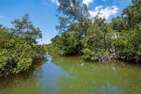 Land in Sarasota, Florida № 2266332 - photo 2