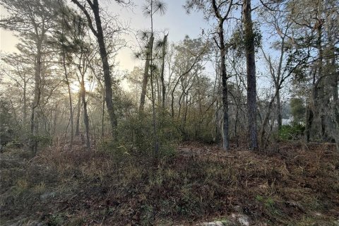 Terrain à vendre à Ocala, Floride № 1574692 - photo 3