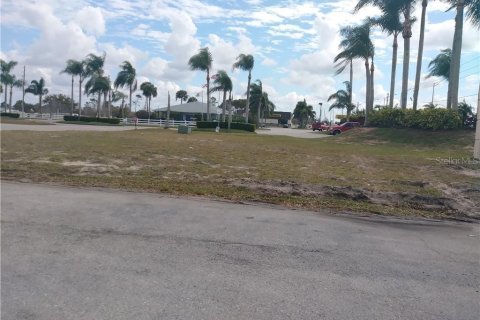 Land in Lake Placid, Florida № 1843621 - photo 5