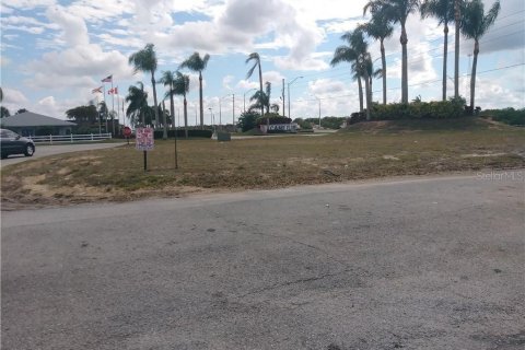 Land in Lake Placid, Florida № 1843621 - photo 4