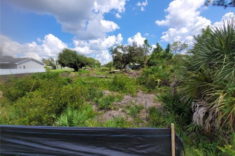 Land in Port Charlotte, Florida № 2215731 - photo 7
