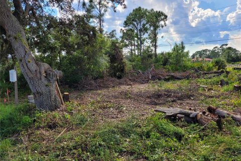 Land in Port Charlotte, Florida № 2215731 - photo 9