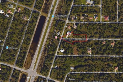 Land in Port Charlotte, Florida № 2215731 - photo 4