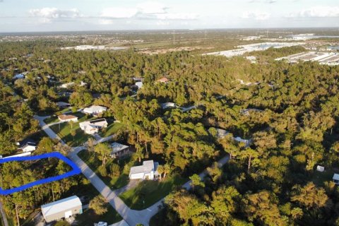 Land in Port Charlotte, Florida № 2215731 - photo 11