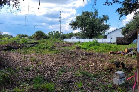 Land in Port Charlotte, Florida № 2215731 - photo 10