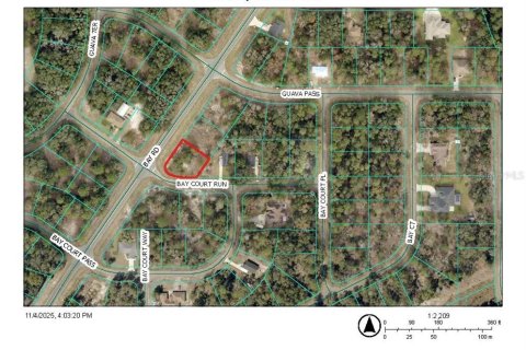 Land in Ocklawaha, Florida № 2232855