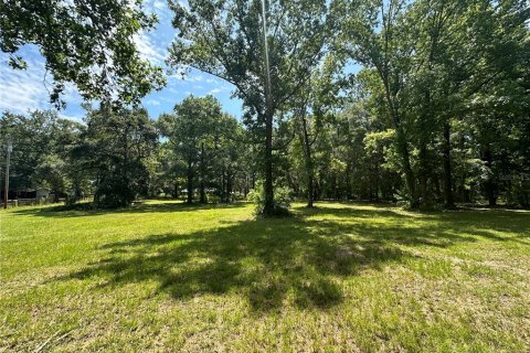 Land in Reddick, Florida № 1213827 - photo 1