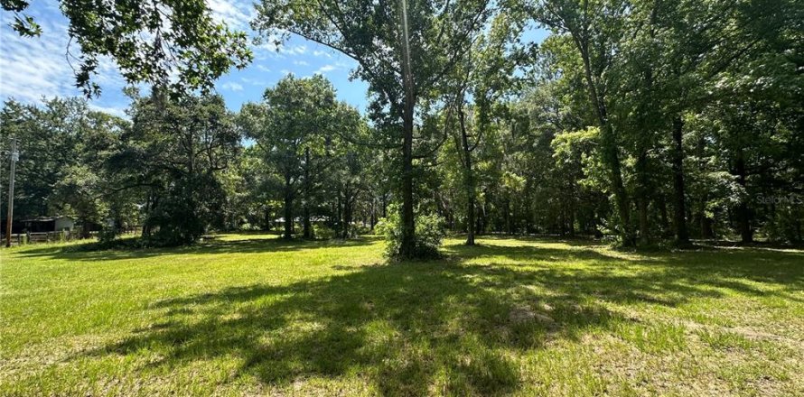 Land in Reddick, Florida № 1213827