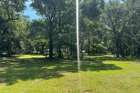 Land in Reddick, Florida № 1213827 - photo 3