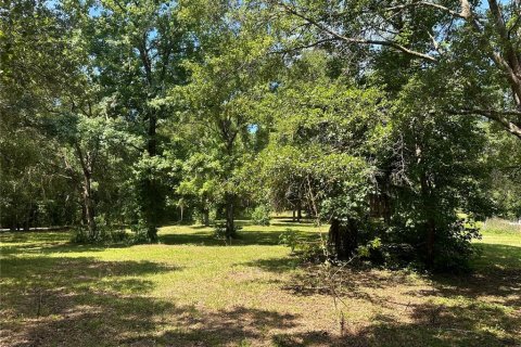Land in Reddick, Florida № 1213827 - photo 6