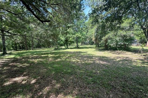 Land in Reddick, Florida № 1213827 - photo 5
