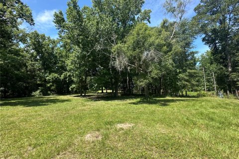 Land in Reddick, Florida № 1213827 - photo 9