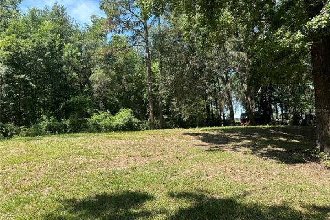 Land in Reddick, Florida № 1213827 - photo 12